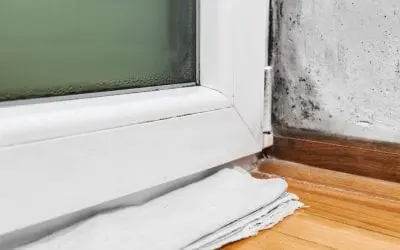 5 Signs of Mold in the Home